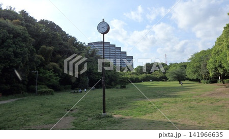 神奈川県大和市 泉の森公園 谷川 森林 貯水池 橋 水 神奈川県大和市 泉の森公園 谷川 森林 貯水池 橋 水 141966635