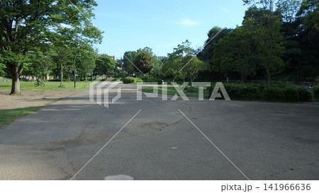 神奈川県大和市 泉の森公園 谷川 森林 貯水池 橋 水 神奈川県大和市 泉の森公園 谷川 森林 貯水池 橋 水 141966636