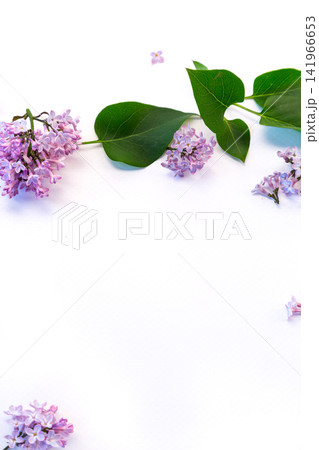 elegant spring flowers composition with lilac and greenery elegant spring flowers composition with lilac and greenery 141966653