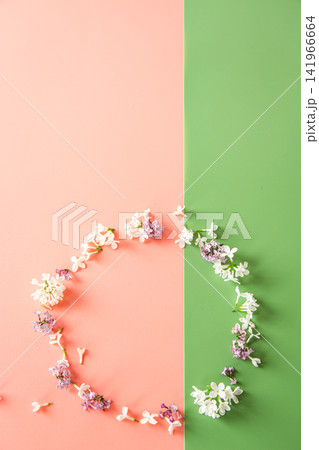 Creative floral flat lay with spring blossom branches Creative floral flat lay with spring blossom branches 141966664