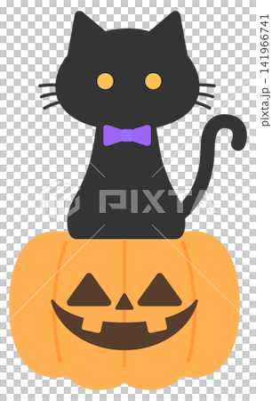 Halloween-themed black cat and jack-o'-lantern 141966741