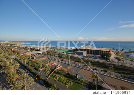 Sunny coastal cityscape with palm lined road, low rooftops, calm ocean waves, sandy shore, and clear blue sky creating relaxed tropical seaside scenery, with coast, ocean, sky, palm detail Sunny coastal cityscape with palm lined road, low rooftops, calm ocean waves, sandy shore, and clear blue sky creating relaxed tropical seaside scenery, with coast, ocean, sky, palm detail 141966954