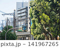 江ノ電が走る風景 141967265