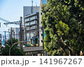 江ノ電が走る風景 141967267