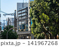 江ノ電が走る風景 141967268