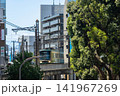 江ノ電が走る風景 141967269