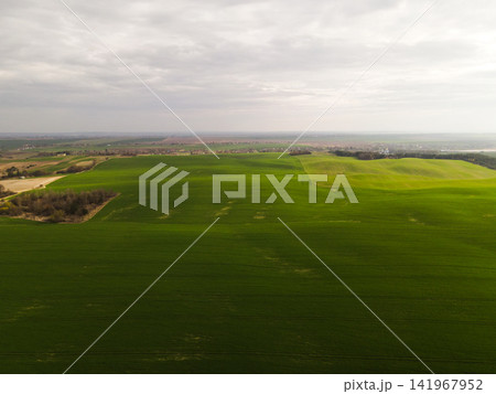 Aerial view of green cultivated farmland with distant rural settlements and agricultural fields 141967952
