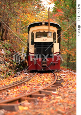 【長野県】赤沢自然休養林の紅葉のトンネルを走る赤沢森林鉄道 【長野県】赤沢自然休養林の紅葉のトンネルを走る赤沢森林鉄道 141968126