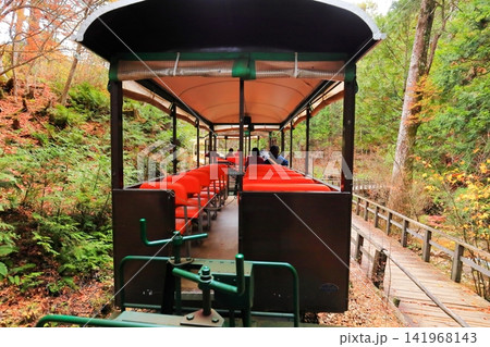 【長野県】赤沢自然休養林の紅葉のトンネルを走る赤沢森林鉄道 141968143