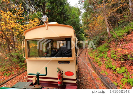【長野県】赤沢自然休養林の紅葉のトンネルを走る赤沢森林鉄道 141968148
