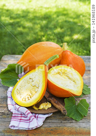 Hokkaido pumpkin harvest Hokkaido pumpkin harvest 141968189