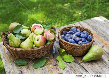 Fruit basket harvest Fruit basket harvest 141968195