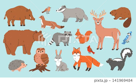 Wild forest animals set. Collection of woodland creatures. Vector graphics Wild forest animals set. Collection of woodland creatures. Vector graphics 141969484