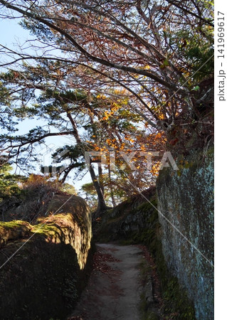 日本三景松島(雄島の散策路)【宮城県宮城郡松島町】 日本三景松島(雄島の散策路)【宮城県宮城郡松島町】 141969617