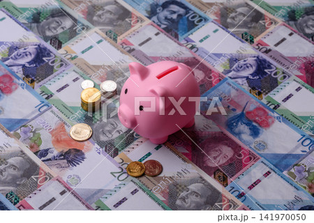 A piggy bank as a concept for storing, accumulating, and saving financial resources. A piggy bank 141970050