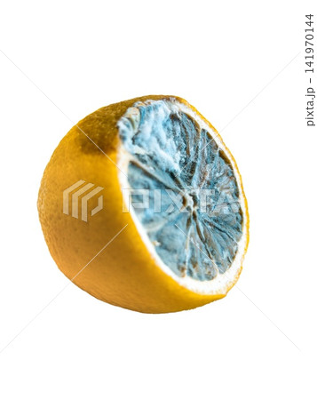 Half lemon with blue mold isolated on transparent background. food spoilage, kitchen hygiene, health risk, quality control, waste Half lemon with blue mold isolated on transparent background. food spoilage, kitchen hygiene, health risk, quality control, waste 141970144