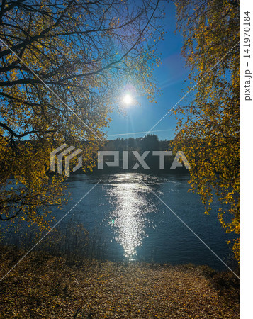 Scenic autumn landscape with golden trees and sun reflecting on river surface under clear blue sky, peaceful nature view Scenic autumn landscape with golden trees and sun reflecting on river surface under clear blue sky, peaceful nature view 141970184
