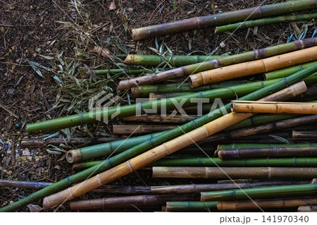 Pile of cut bamboo logs on the ground Pile of cut bamboo logs on the ground 141970340