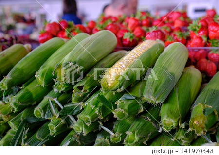 corn at the market . Fresh sweet corn in green husks displayed on farmers market stall with natural harvest ready for cooking grilling and seasonal summer meals 141970348