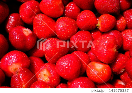 Large pile of fresh hulled strawberries without stems, ripe summer berries prepared for desserts, healthy breakfasts, jam making and homemade recipes on kitchen table Large pile of fresh hulled strawberries without stems, ripe summer berries prepared for desserts, healthy breakfasts, jam making and homemade recipes on kitchen table 141970387