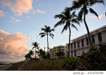 Palm Trees Silhouetted Against A Hotel Building At Sunset 141970540