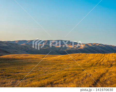 Golden Grass Field and Rolling Hills at Sunrise or Sunset 141970630