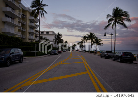 Coastal Road With Palm Trees At Golden Sunset Coastal Road With Palm Trees At Golden Sunset 141970642