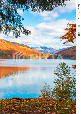 landscape with lake in autumn. scenic view of forest reflection on the lake surface. rika river water reserve. transcarpathia in fall season landscape with lake in autumn. scenic view of forest reflection on the lake surface. rika river water reserve. transcarpathia in fall season 141970676