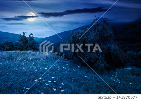 rural mountain landscape of ukraine at night. countryside scenery of transcarpathia in summer. forested hills and grassy meadows under dark sky in full moon light rural mountain landscape of ukraine at night. countryside scenery of transcarpathia in summer. forested hills and grassy meadows under dark sky in full moon light 141970677