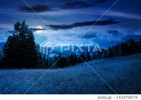 countryside mountain landscape in summer at night. full moon over lush grassy pasture on a hill near forest. rural outdoor adventure background. mysterious highland of ukraine 141970678