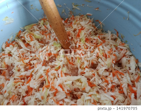 Shredded cabbage and carrots mixing with spices in a blue container, preparing homemade raw fermented sauerkraut for a healthy probiotic food diet 141970705