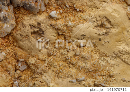 Macro mineral stone Snow quartz with calcite on a black background Macro mineral stone Snow quartz with calcite on a black background 141970711