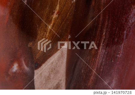 Macro mineral stone ground petrified tree on white background Macro mineral stone ground petrified tree on white background 141970728