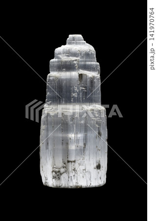 Macro mineral stone Selenite Gypsum on a black background Macro mineral stone Selenite Gypsum on a black background 141970764