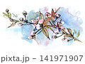 Delicate watercolor branch with blooming pink flowers and buds over soft blue wash Delicate watercolor branch with blooming pink flowers and buds over soft blue wash 141971907