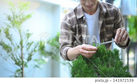 A man making bonsai pruning with precision care and craftsmanship A man making bonsai pruning with precision care and craftsmanship 141972539