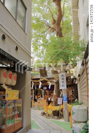 薬の街大阪道修町の小社 少彦名神社 薬の街大阪道修町の小社 少彦名神社 141972556