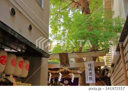 薬の街大阪道修町の小社 少彦名神社 薬の街大阪道修町の小社 少彦名神社 141972557