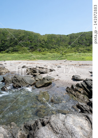青い空と緑の草原が続く城ヶ島海岸の磯の風景 青い空と緑の草原が続く城ヶ島海岸の磯の風景 141972883