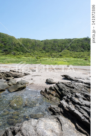青い空と緑の草原が続く城ヶ島海岸の磯の風景 青い空と緑の草原が続く城ヶ島海岸の磯の風景 141972886