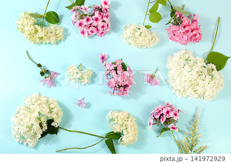 Pattern of different varieties of phlox and garden hydrangeas on a bright sunny background, advertising banner for summer and autumn products, abstract floral arrangement, flat lay still life, Pattern of different varieties of phlox and garden hydrangeas on a bright sunny background, advertising banner for summer and autumn products, abstract floral arrangement, flat lay still life, 141972929