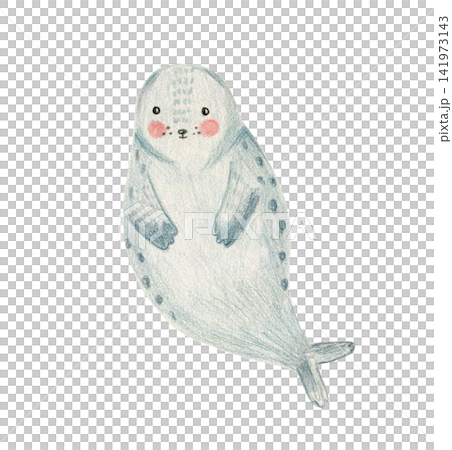 Color pencils drawing cute gray arctic water seal animal with pink cheeks. Textured crayons hand drawn cheerful sea lion for birthday greeting card design, banner, sticker, t-shirt print Color pencils drawing cute gray arctic water seal animal with pink cheeks. Textured crayons hand drawn cheerful sea lion for birthday greeting card design, banner, sticker, t-shirt print 141973143