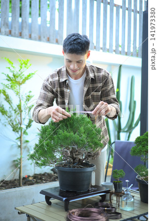 A man making bonsai pruning with precision care and craftsmanship 141973380