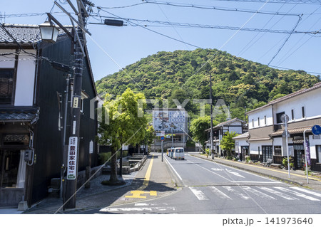 打吹山と赤瓦の街並み 倉吉市白壁土蔵 打吹山と赤瓦の街並み 倉吉市白壁土蔵 141973640