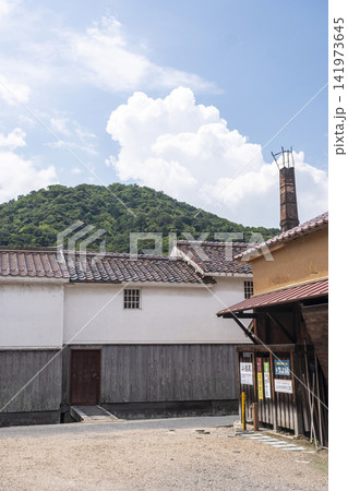 打吹山と赤瓦の街並み 倉吉市白壁土蔵 打吹山と赤瓦の街並み 倉吉市白壁土蔵 141973645