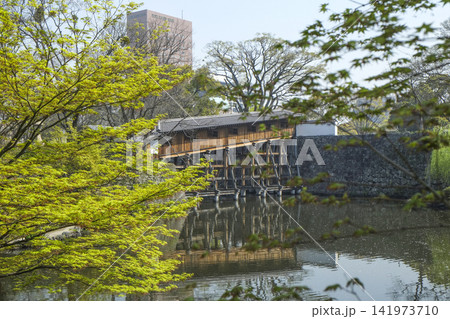 和歌山城 西之丸庭園(紅葉渓庭園)御橋廊下 和歌山城 西之丸庭園(紅葉渓庭園)御橋廊下 141973710