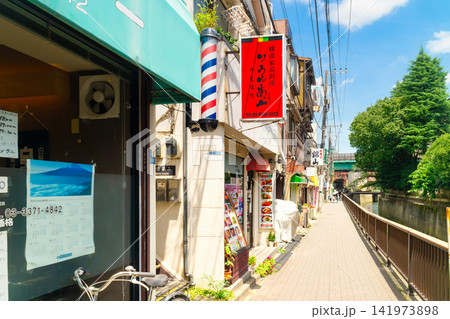 西武新宿線・中井駅前商店街 西武新宿線・中井駅前商店街 141973898