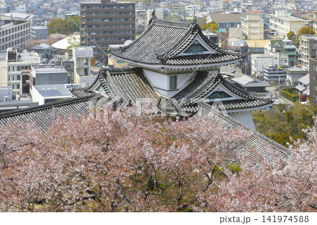 和歌山城、天守閣からの眺め 和歌山城、天守閣からの眺め 141974588