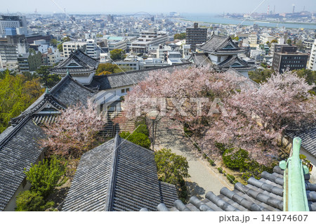 和歌山城、天守閣からの眺め 和歌山城、天守閣からの眺め 141974607