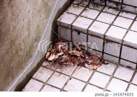 屋外階段の隅に溜まった落ち葉 屋外階段の隅に溜まった落ち葉 141974835